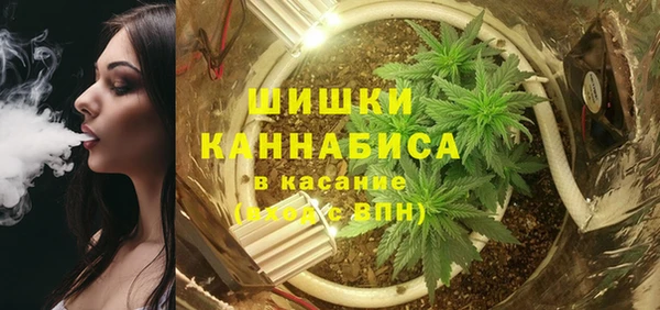 МДПВ Абдулино