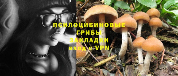 МДПВ Абдулино