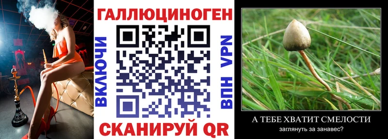 Галлюциногенные грибы MAGIC MUSHROOMS Кинешма
